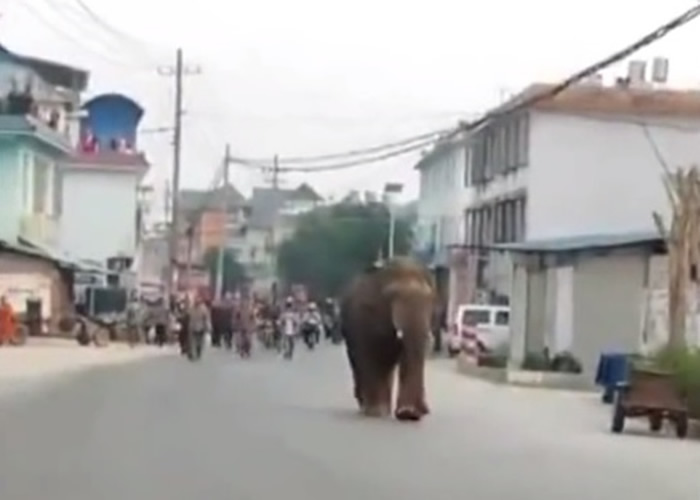 ��������������·ʱ�������д�������β�����㡣