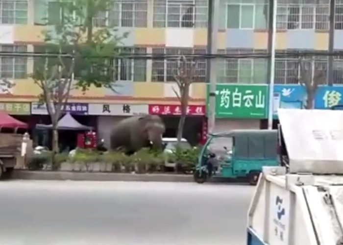 �������������̤·�߲ݴԡ�