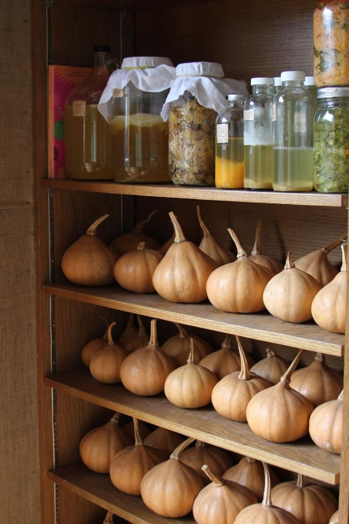 ��λ����ֻ���Լ��ֻ��Լ��ɼ���ʳ����ĸ��Ͽɿ�˽��ʳ�ף��Լ����������ַѶ��������Ĺ����²����������ŵ�Ϲϣ�seminole pumpkins��������һ�ֺ���