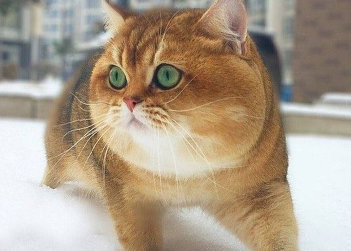 è֮�����ҲŲ��ǲ�Ȯ��