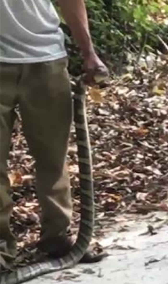 ����ʡ�Ͳ�������ͽ��ץ���۾����� ��ҧ��������