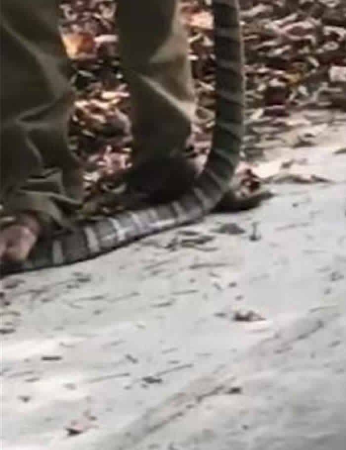 ����ʡ�Ͳ�������ͽ��ץ���۾����� ��ҧ��������