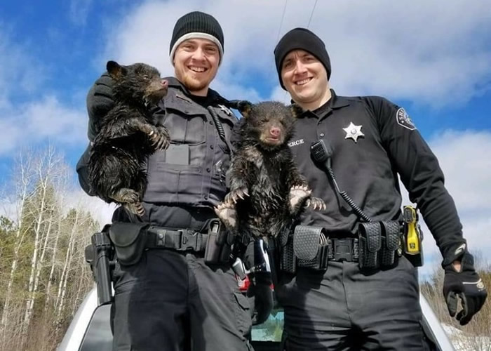 ������˹������2ֻС�ܱ�����ˮ���� �ҵ��������쾭��