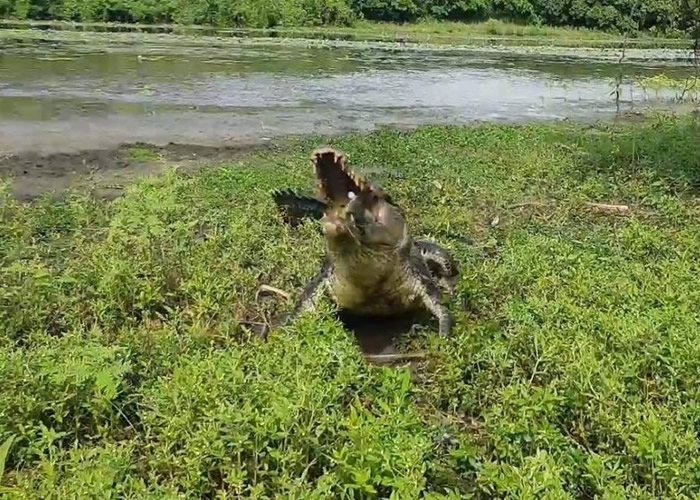 �����ſ���ڣ���ҧ�����h�ŵĴ��㣬�ǳ����ˡ�