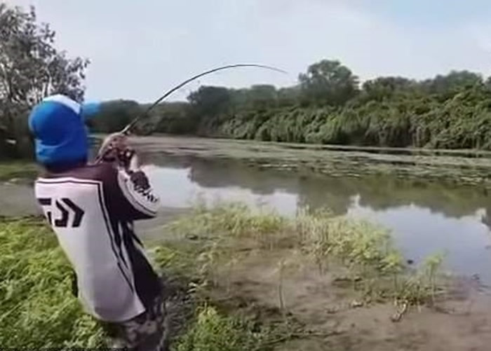 �����������ϵ��������⶷��