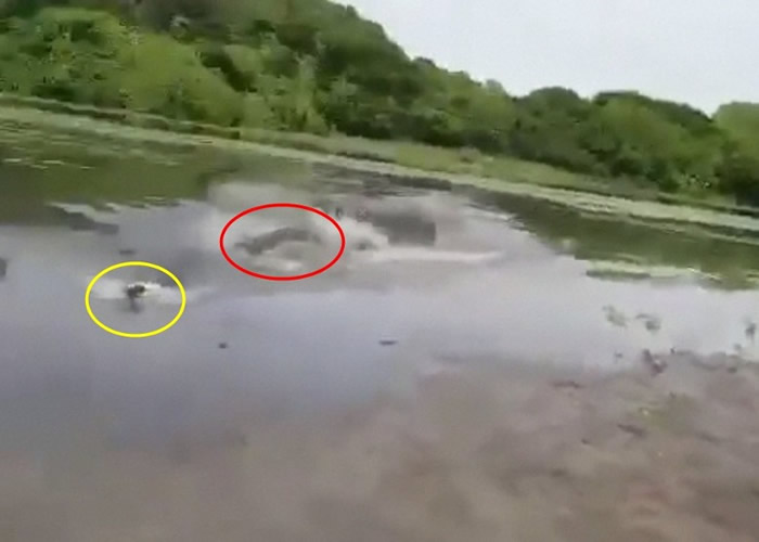 ��������Ȧ����ˮ��׷�ɵ���������Ĵ��㣨��Ȧ����