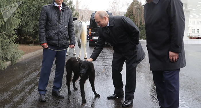 ������˹˹̹�͸�����˹��ͳ�վ���̩����Ȯ����12000������ʷ