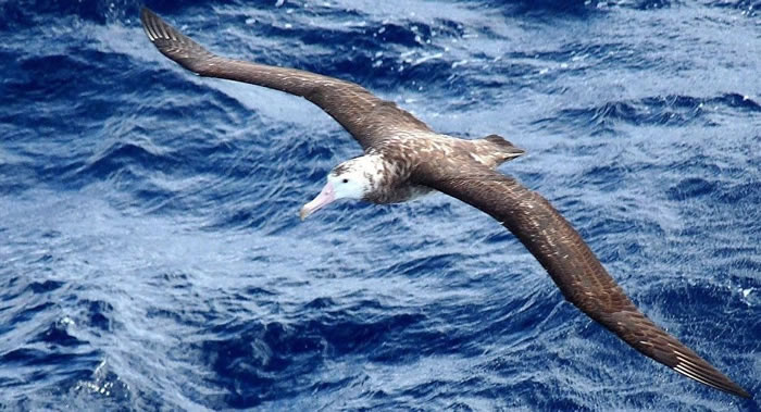 ���������������ȵ����Σ����