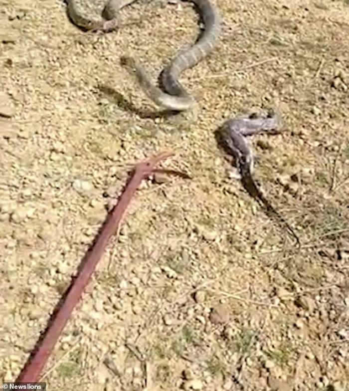 ӡȶŴܵŵ۾ߵ³С޴սƷ