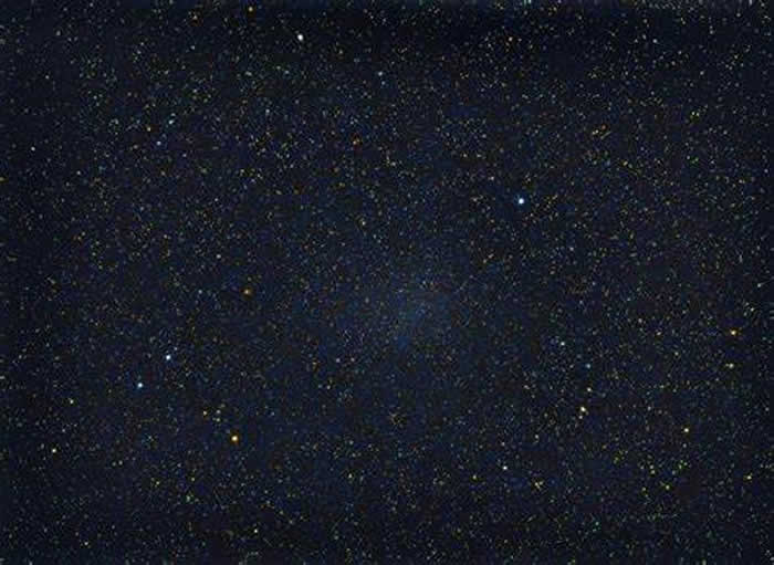 2019��4�·���������ſ�������������