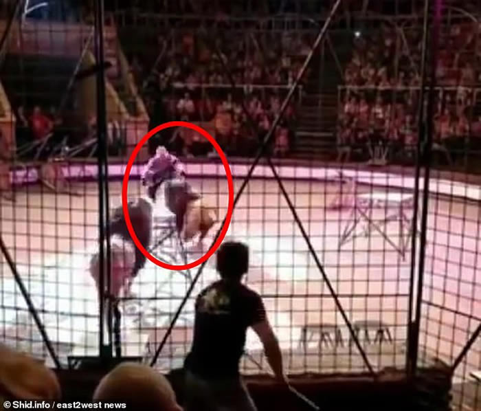 ѱʦHamada KoutaڿʱϷŹʨӺҧ