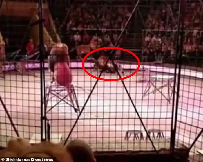 ѱʦHamada KoutaڿʱϷŹʨӺҧ