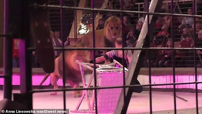 ѱʦHamada KoutaڿʱϷŹʨӺҧ