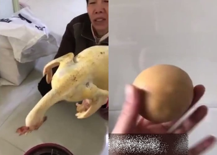 Ĵϳֻĸ5δ¹ ɱȴְ󡰼