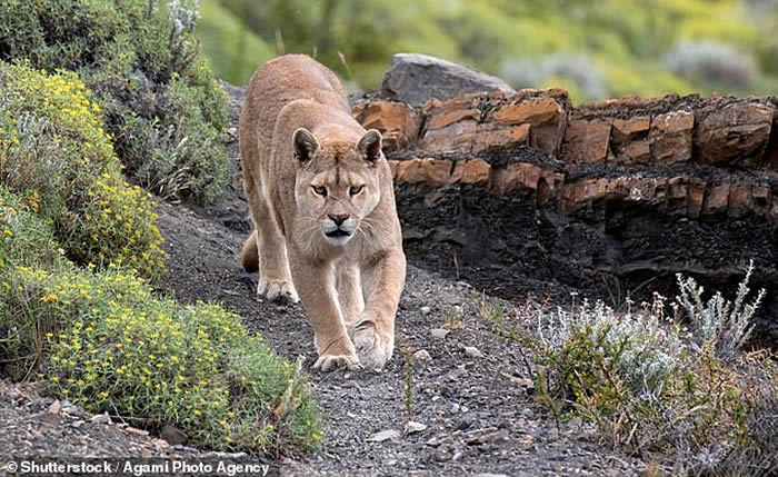 ʨҧŶӵ ô¸绪ĸʨھ