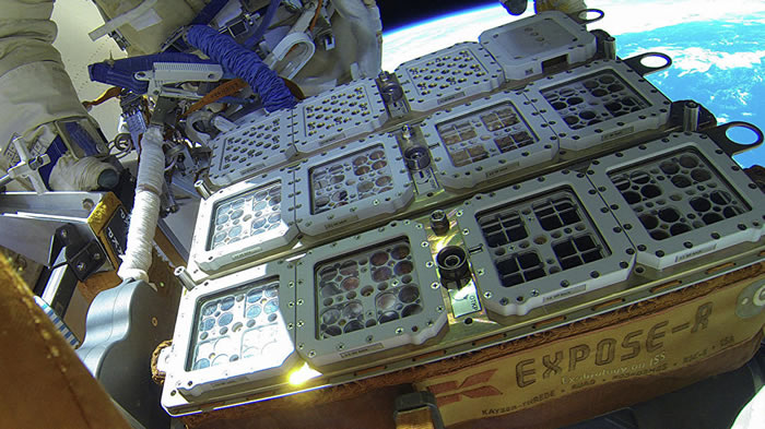 ������ͻ������顱�����ʿռ�վ���������������ڻ��������������ж��ǿ��ܵ�