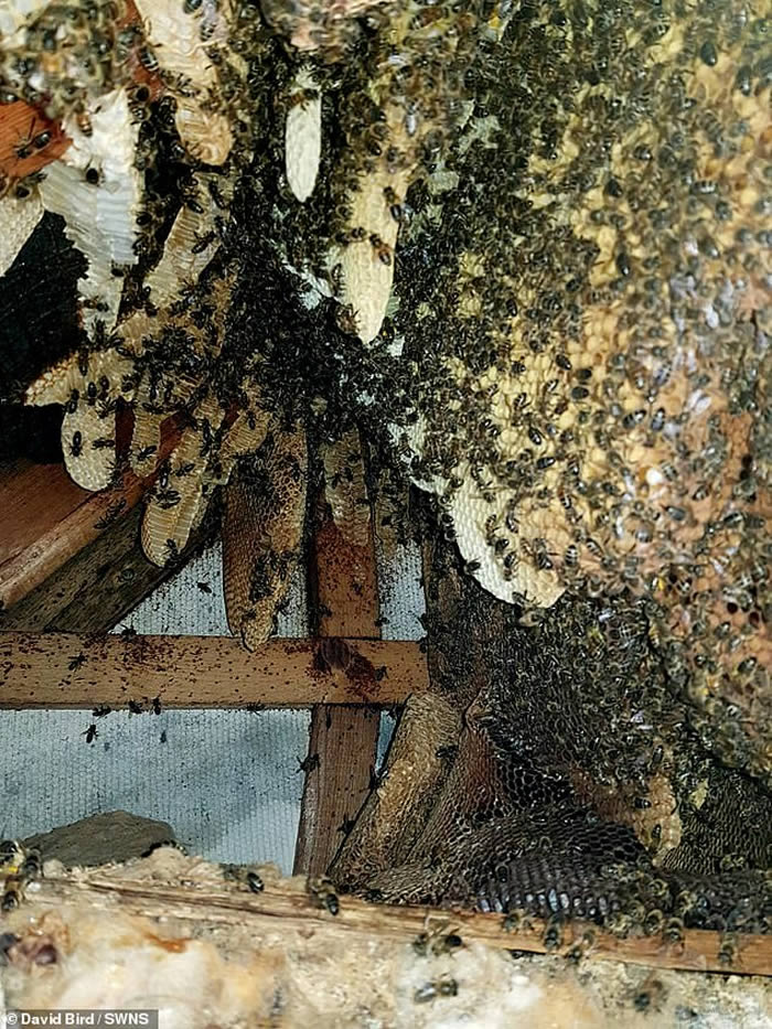 Ӣ��һ���˼�2��ֻ�۷�ס��¥10�� ר���á�������������