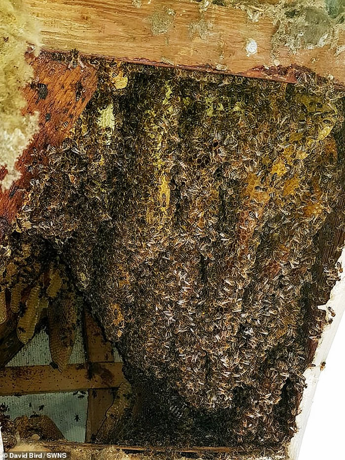 Ӣ��һ���˼�2��ֻ�۷�ס��¥10�� ר���á�������������