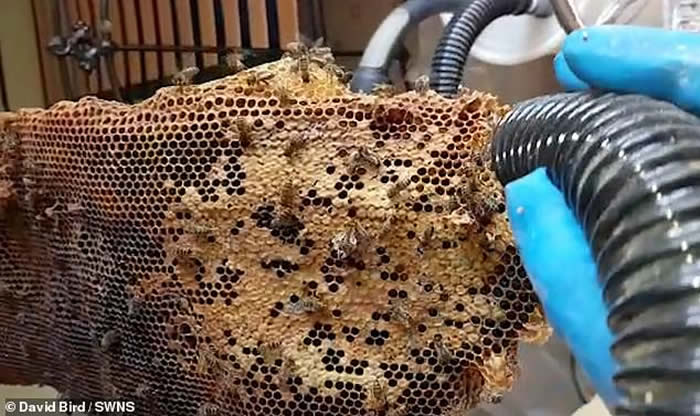 Ӣ��һ���˼�2��ֻ�۷�ס��¥10�� ר���á�������������