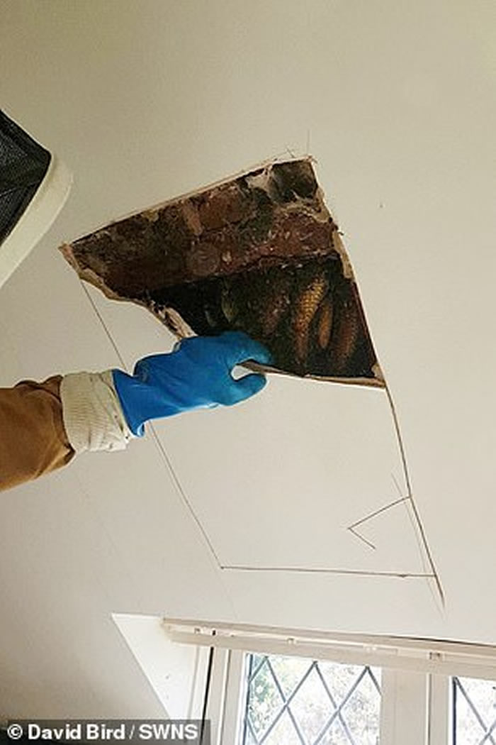 Ӣ��һ���˼�2��ֻ�۷�ס��¥10�� ר���á�������������