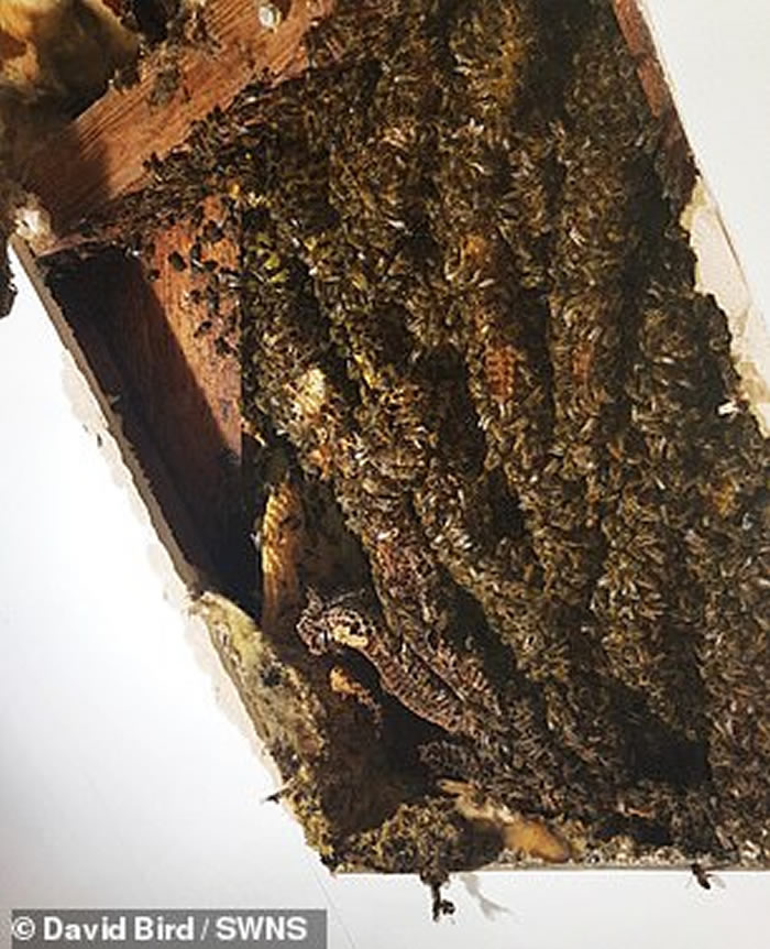 Ӣ��һ���˼�2��ֻ�۷�ס��¥10�� ר���á�������������