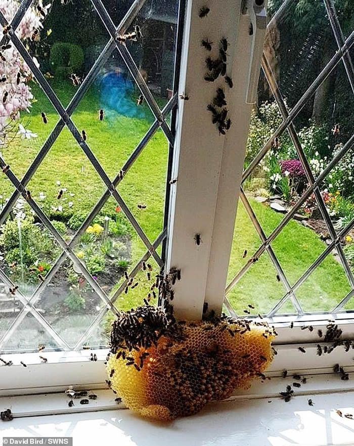 Ӣ��һ���˼�2��ֻ�۷�ס��¥10�� ר���á�������������