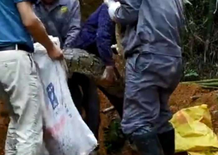 �㶫��ɽ��ׯ����35�����ؾ��� 3��׳��������������������