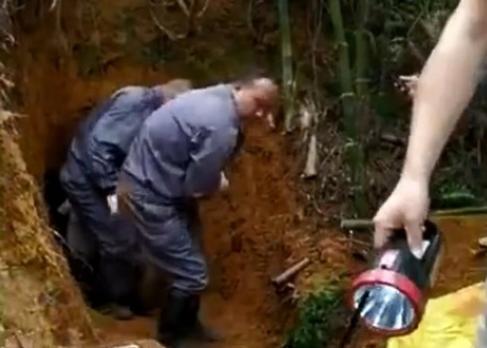 �㶫��ɽ��ׯ����35�����ؾ��� 3��׳��������������������