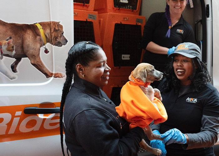 Apple���У��ִ�ŦԼ��