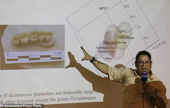 ɱεȫ¹֡ˡHomo luzonensis