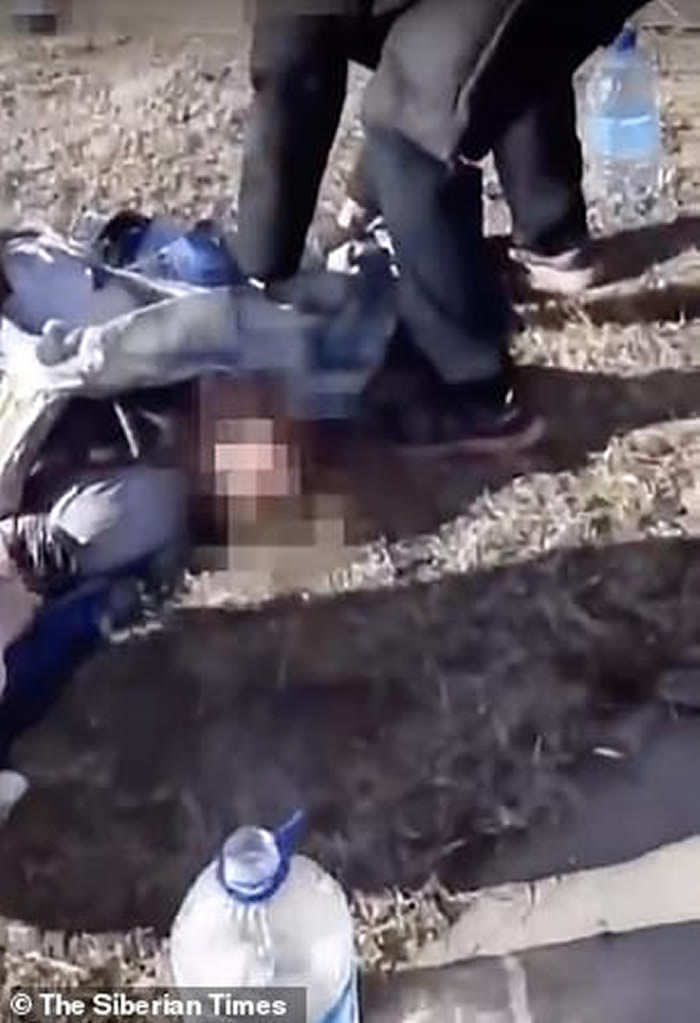 俄罗斯女子参观私人动物园进入围栏内喂食棕熊 左手被啃断