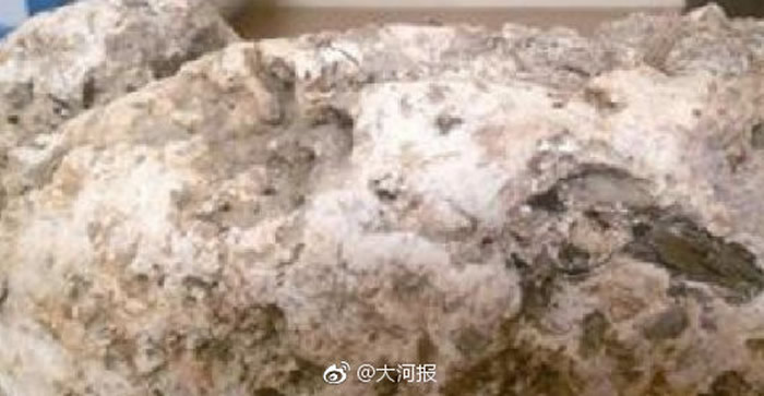 福建省厦门市男子海滩捡到腥臭怪石想要丢掉 专家称可能是价值70万人民币的“龙涎香”