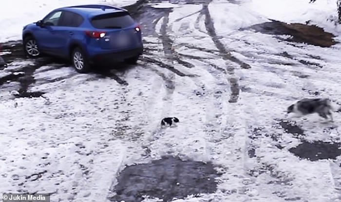 ĿŮ˵շм ô߾Ȯ˲Ⱥ