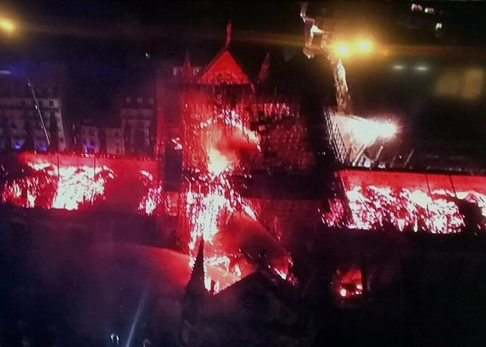 ����¥���������±��������������ر����ʥĸԺ���