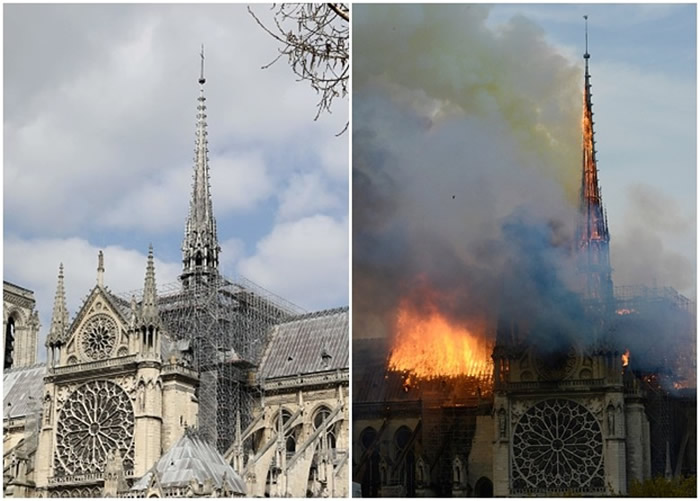 ����¥���������±��������������ر����ʥĸԺ���