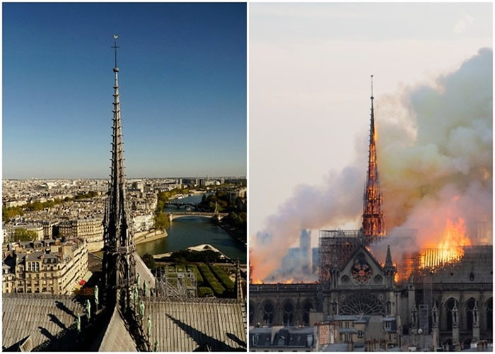 ����¥���������±��������������ر����ʥĸԺ���