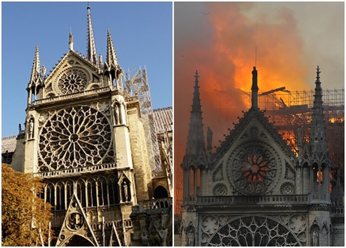 ����¥���������±��������������ر����ʥĸԺ���