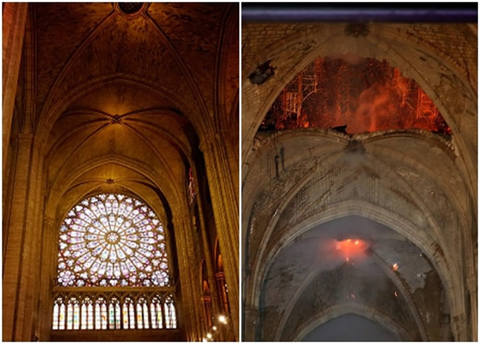 ����¥���������±��������������ر����ʥĸԺ���