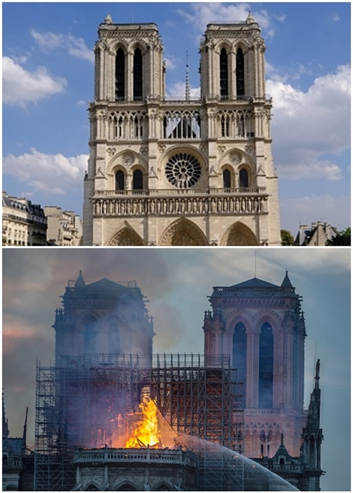 ����¥���������±��������������ر����ʥĸԺ���