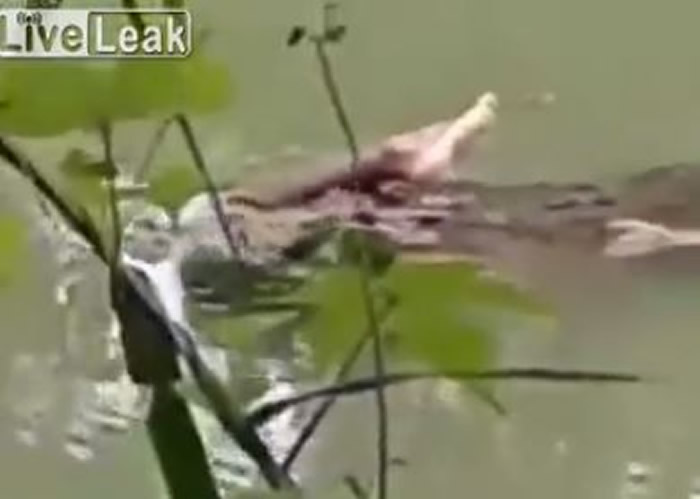 ���������ĵ�һ��������������ں�������