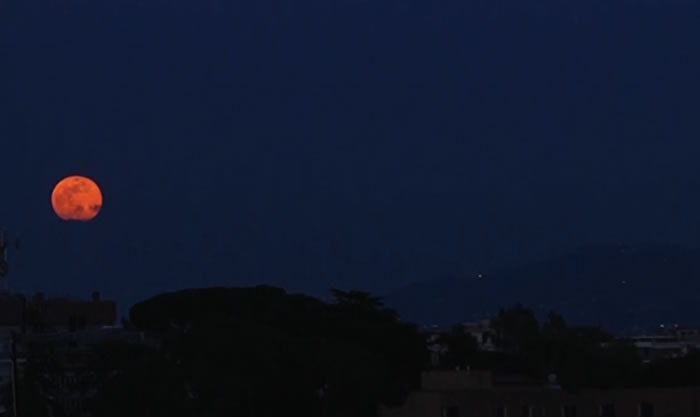 һ�������ķۺ�ɫ��������������������Ͽ�