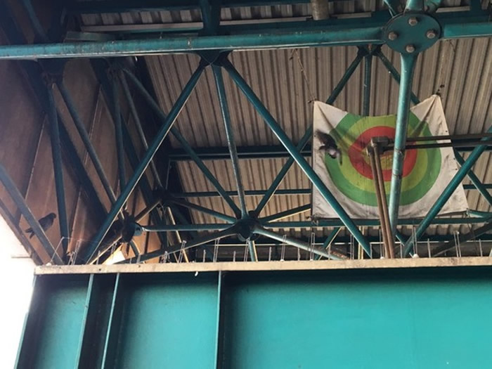 巴西圣保罗车站鸽子成灾 放催眠图案都没用