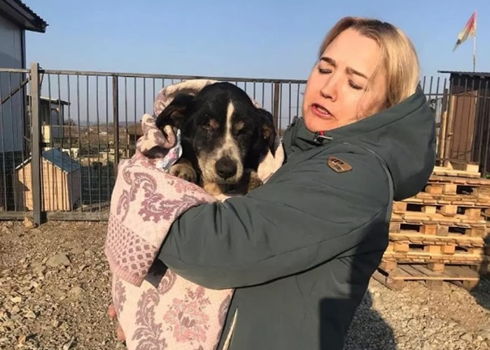 迪克与女主人重聚,后者喜极而泣。