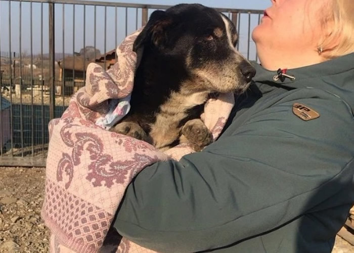 女主人紧抱迪克不放。