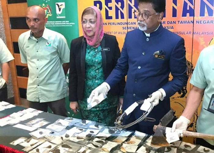 ����չʾ���Ķ���צ�������Թ��ߡ�