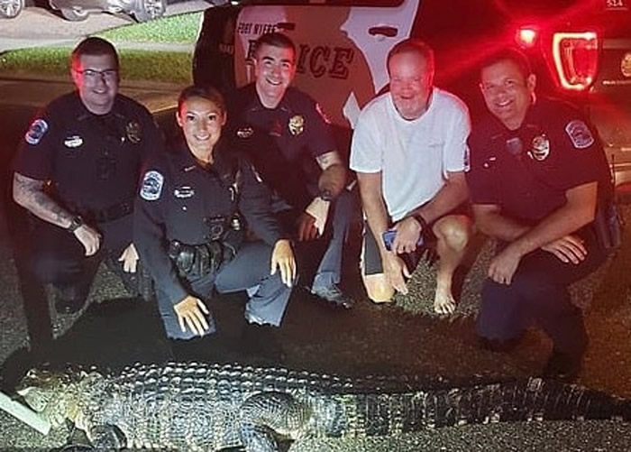 ����4�½��伾�� ����ȫ�湥ռ�������������