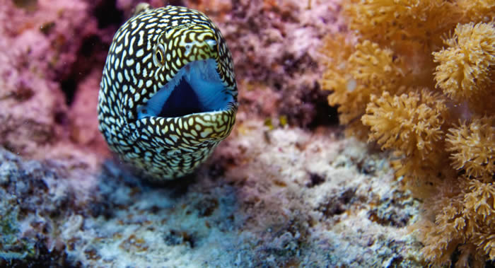 15���ο���ī�������������ݶȼ���������Ϯ��