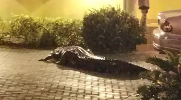 ��������������Ա����·������һ����Ӱ ��ǰ�鿴ԭ�������Ӵ�Ķ�����