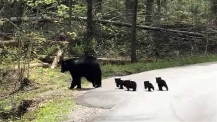 �����������ݴ���ɽ���ҹ�԰��������ƨ�ɺ�����ż���С��Ӱ