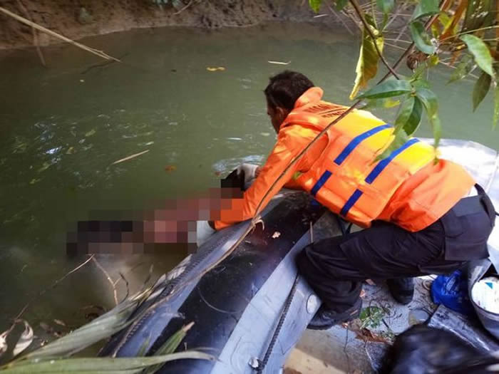 ӡ���������������ϲ������������ҧ�����ȸ���ˮ�� ����ȳ������